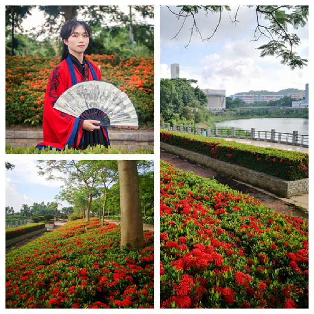 龙船花-包江智_副本.jpg